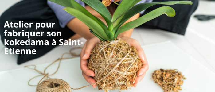 Atelier pour fabriquer son kokedama à Saint-Etienne