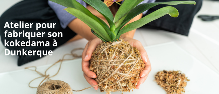 Atelier pour fabriquer son kokedama à Dunkerque