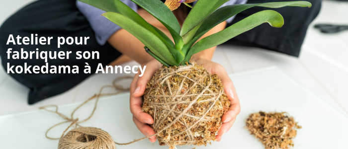 Atelier pour fabriquer son kokedama à Annecy