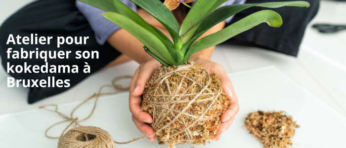 Atelier pour fabriquer son kokedama à Bruxelles