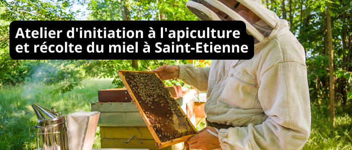 Atelier d'initiation à l'apiculture et récolte du miel à Saint-Etienne