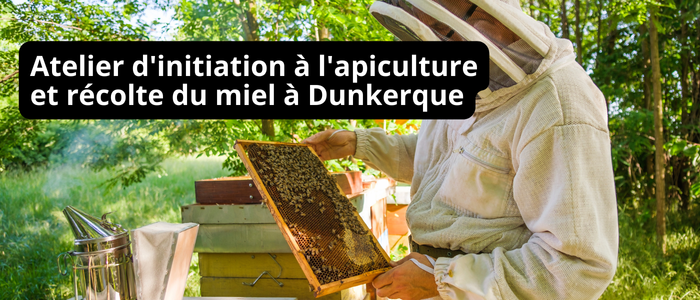 Atelier d'initiation à l'apiculture et récolte du miel à Dunkerque