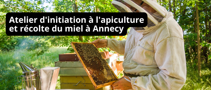 Atelier d'initiation à l'apiculture et récolte du miel à Annecy