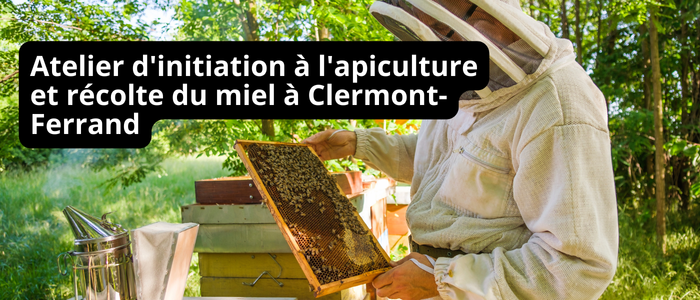 Atelier d'initiation à l'apiculture et récolte du miel à Clermont-Ferrand