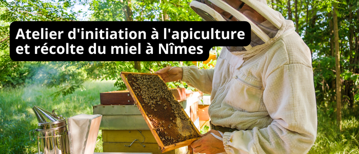 Atelier d'initiation à l'apiculture et récolte du miel à Nîmes